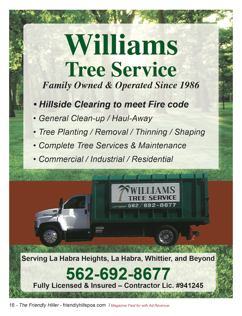William Tree Service