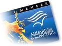 Aquarium of the Pacific